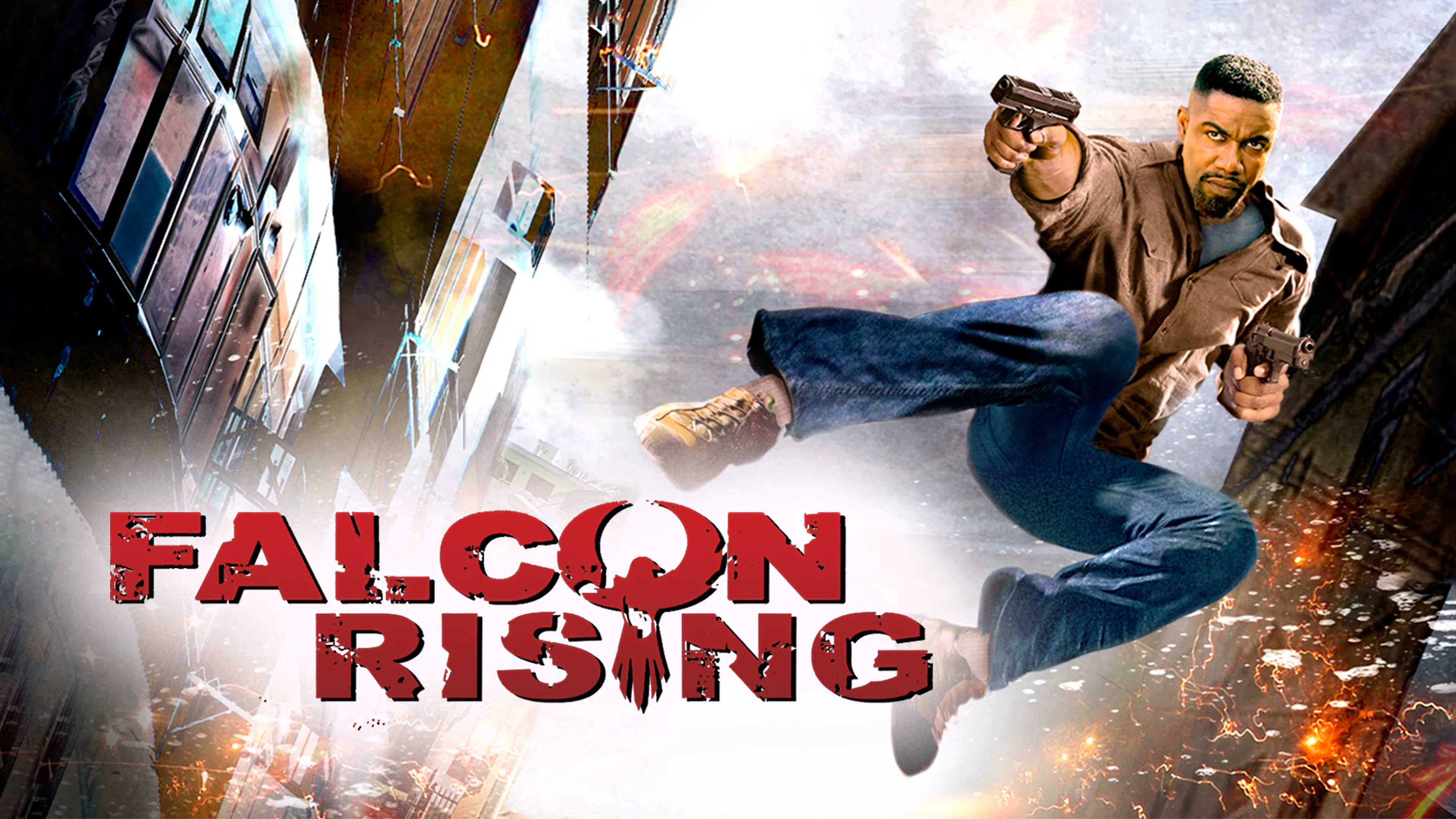 Falcon Rising poster